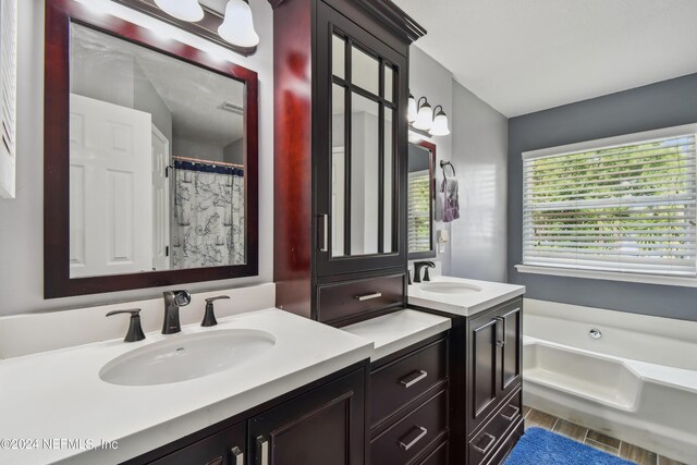 bathroom with a bathing tub and vanity