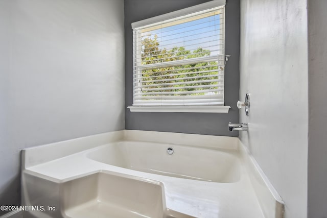 bathroom featuring a bathing tub