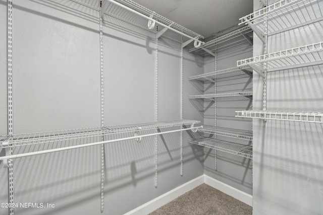 walk in closet featuring carpet flooring