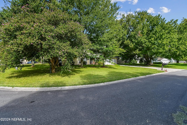 view of property hidden behind natural elements with a front lawn