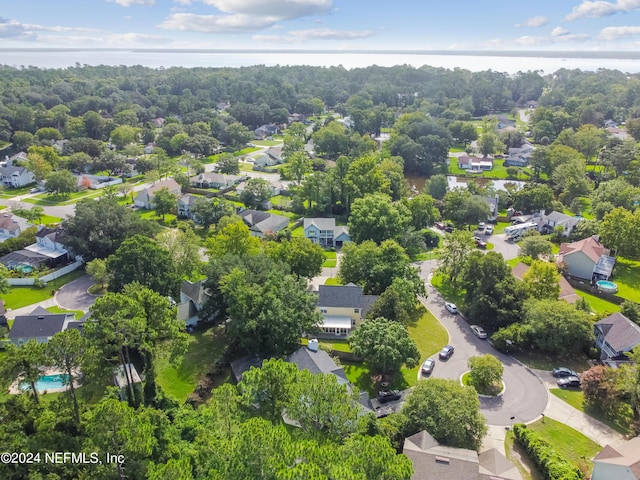 bird's eye view