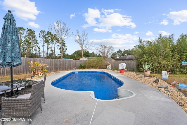 view of swimming pool with a patio area