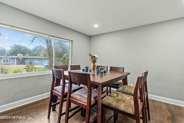 dining room featuring dark wood-type flooring