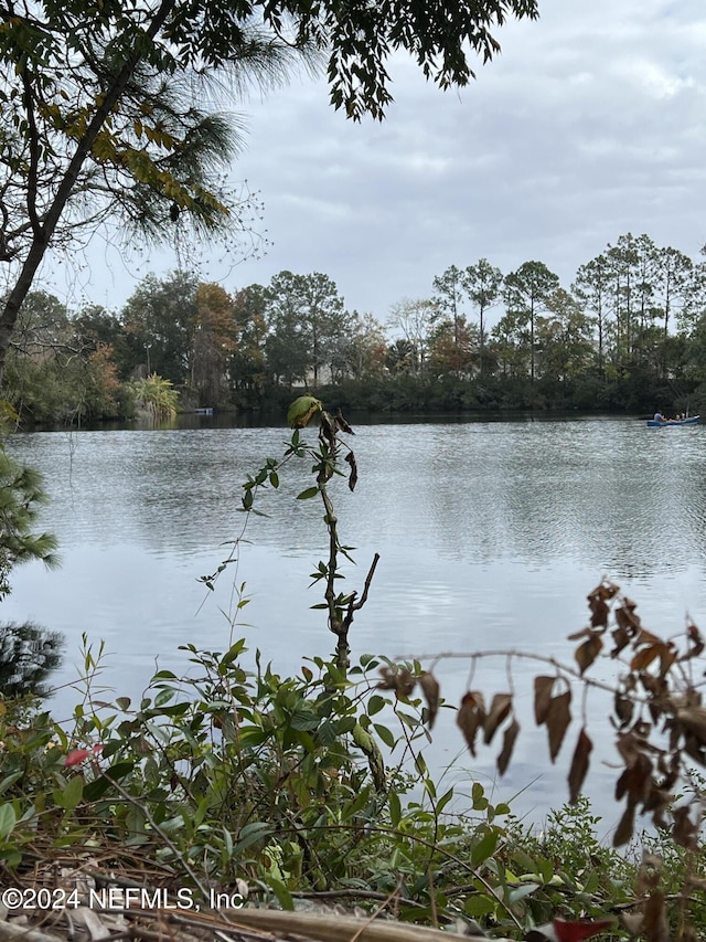 property view of water