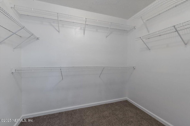 spacious closet with carpet