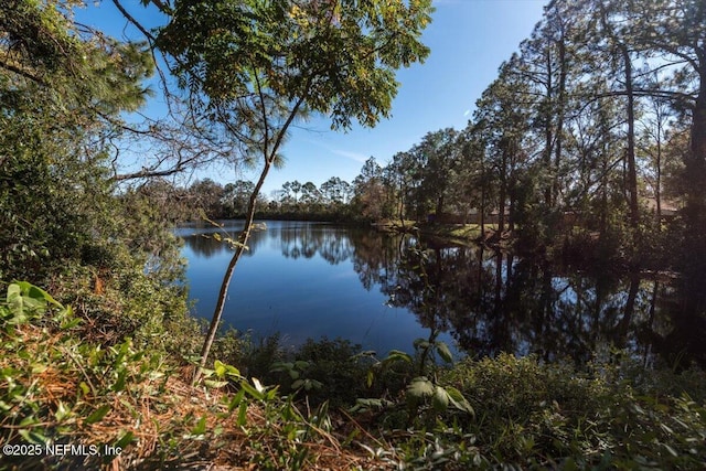 water view