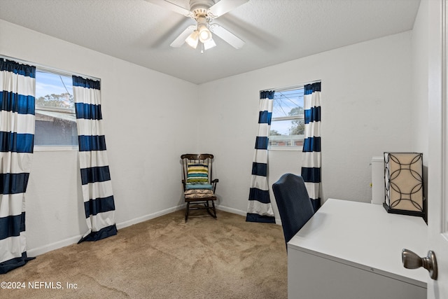 carpeted office with a textured ceiling, plenty of natural light, and ceiling fan