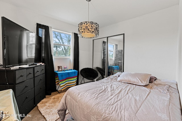 bedroom featuring carpet flooring and a closet