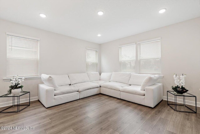 living room featuring hardwood / wood-style flooring