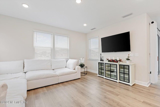 living room featuring a healthy amount of sunlight and light hardwood / wood-style floors