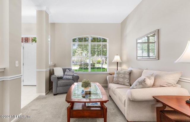 living room with light carpet