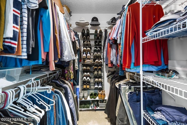 spacious closet with carpet flooring