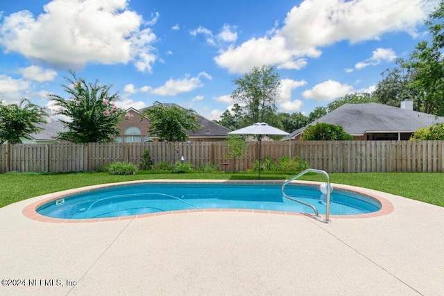 view of swimming pool featuring a patio and a lawn