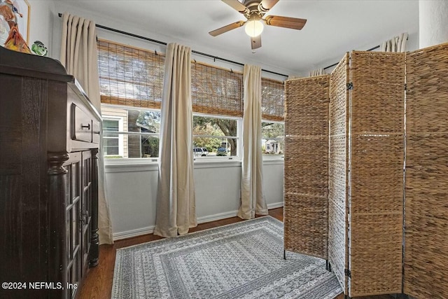 doorway to outside with ceiling fan and hardwood / wood-style flooring