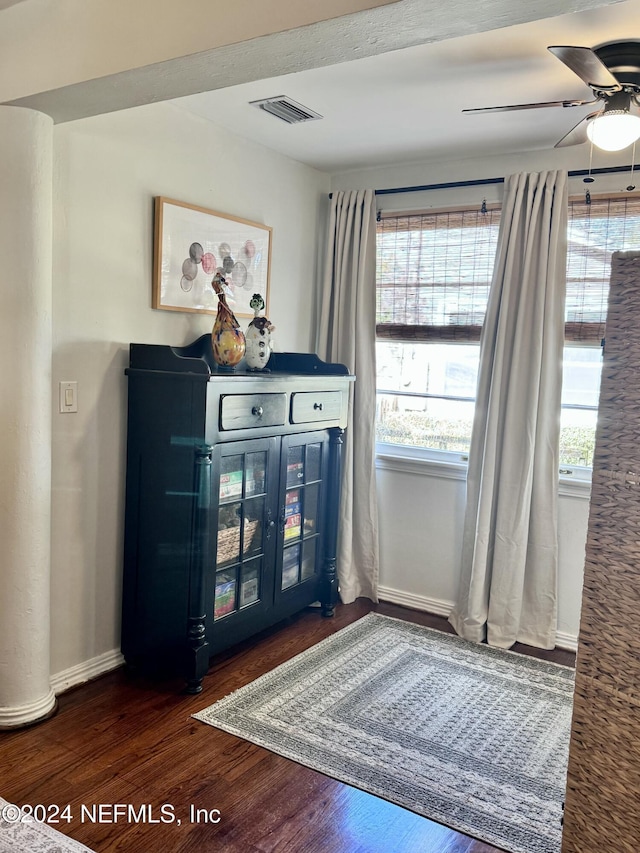 interior space with hardwood / wood-style flooring and ceiling fan