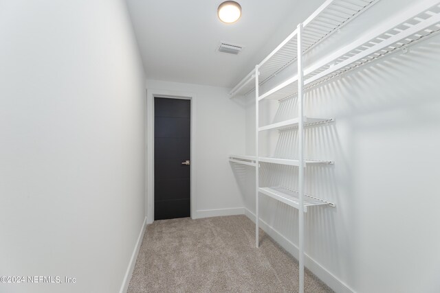 spacious closet with light carpet