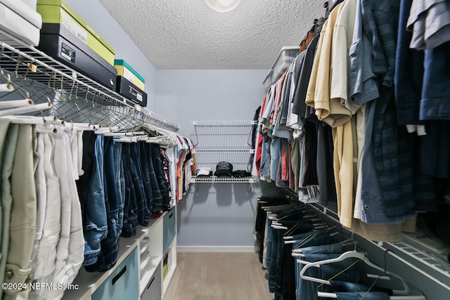 view of walk in closet