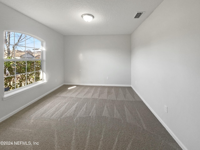 spare room with carpet flooring and a textured ceiling