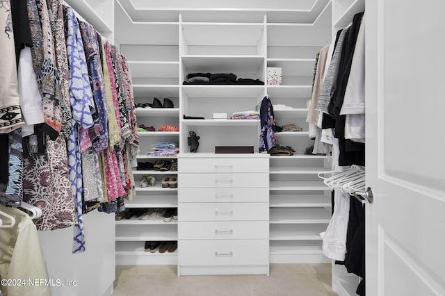 view of spacious closet