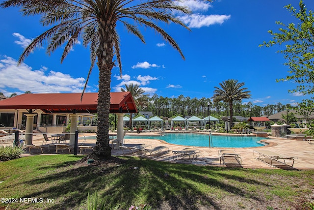 view of swimming pool with a yard and a patio area