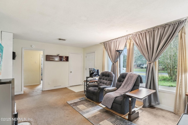 living room with plenty of natural light