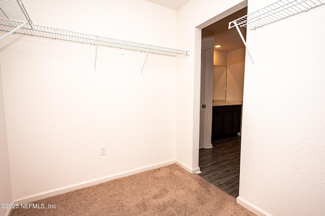 spacious closet featuring carpet