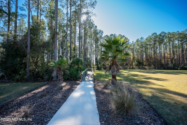 view of community featuring a lawn