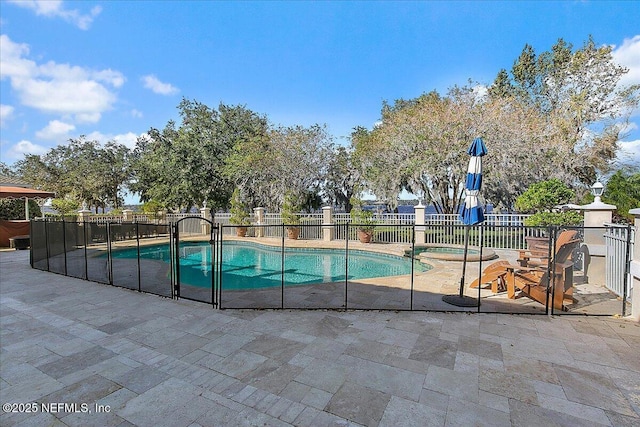 view of pool with an in ground hot tub and a patio