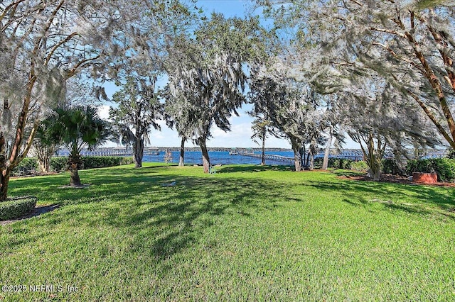 view of yard featuring a water view