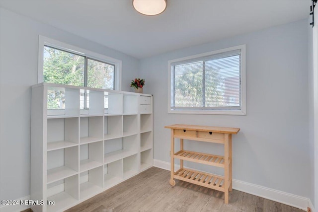 interior space with a barn door and light hardwood / wood-style flooring