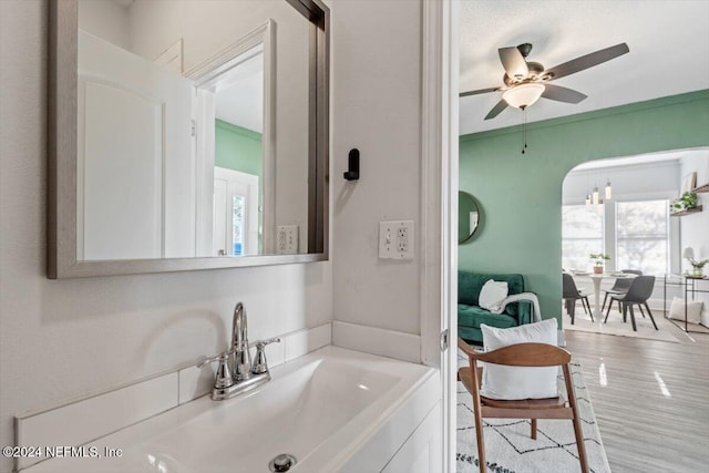 bathroom with ceiling fan, hardwood / wood-style floors, and vanity