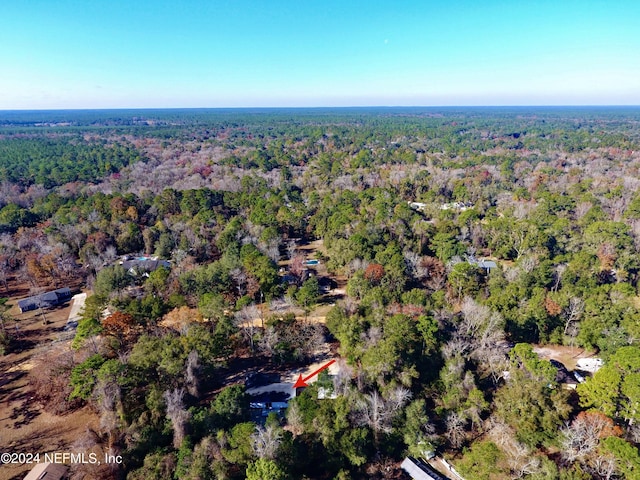4774 Leopard Cir, Middleburg, FL 32068 - aerial view of property and surrounding area with a forest