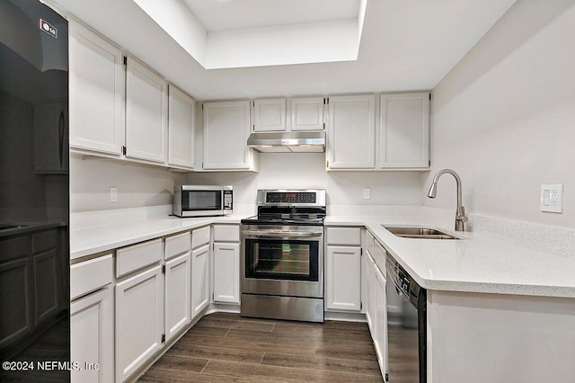 kitchen with sink, appliances with stainless steel finishes, white cabinetry, dark hardwood / wood-style flooring, and a raised ceiling