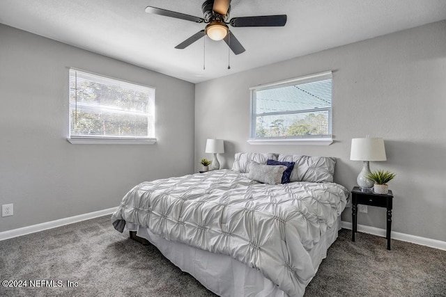 bedroom featuring multiple windows, ceiling fan, and carpet