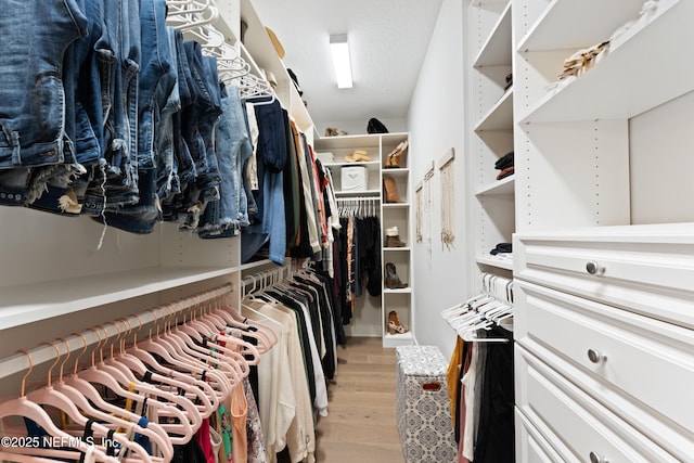 spacious closet featuring light wood-type flooring