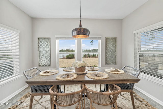 dining room with hardwood / wood-style floors