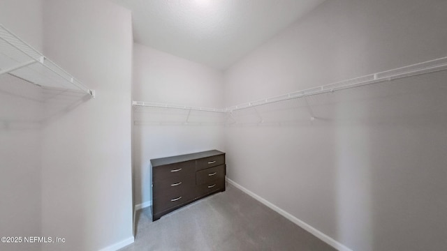 walk in closet with light colored carpet