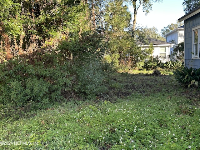 Listing photo 3 for 0 Jessie St, Jacksonville FL 32206