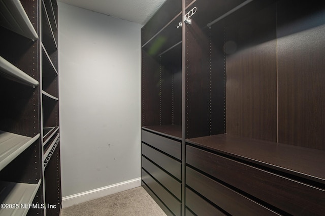 walk in closet with light carpet