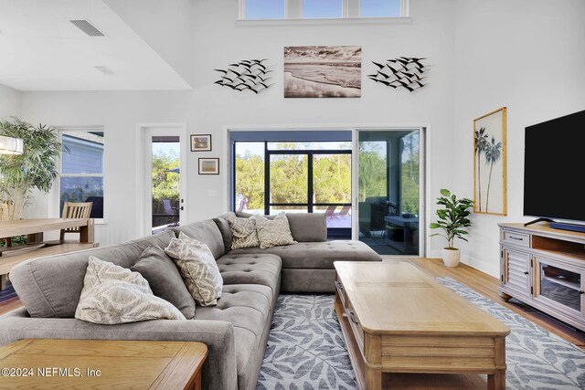 living room featuring wood-type flooring