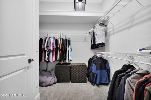 walk in closet with carpet floors