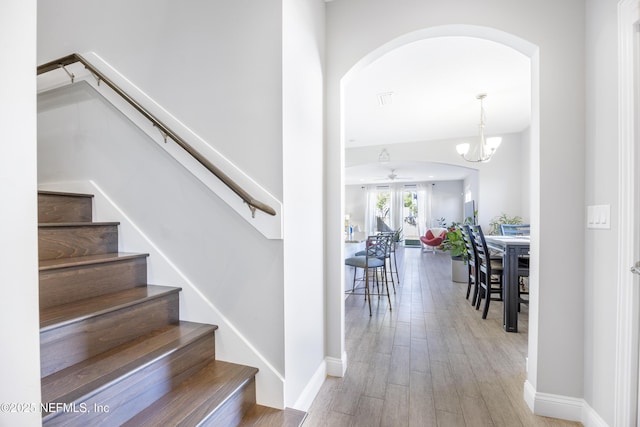 staircase featuring hardwood / wood-style floors and ceiling fan with notable chandelier