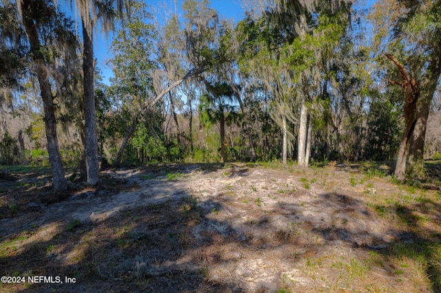 Listing photo 2 for 0 Ridgeline Ave, Satsuma FL 32189