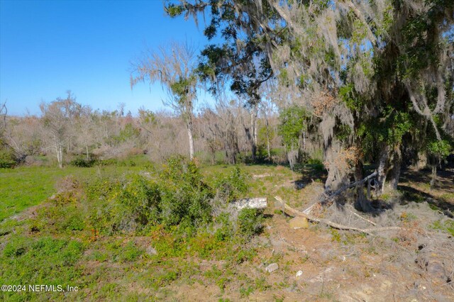 118 Ridgeline Ave, Satsuma, FL 32189 - photo 13