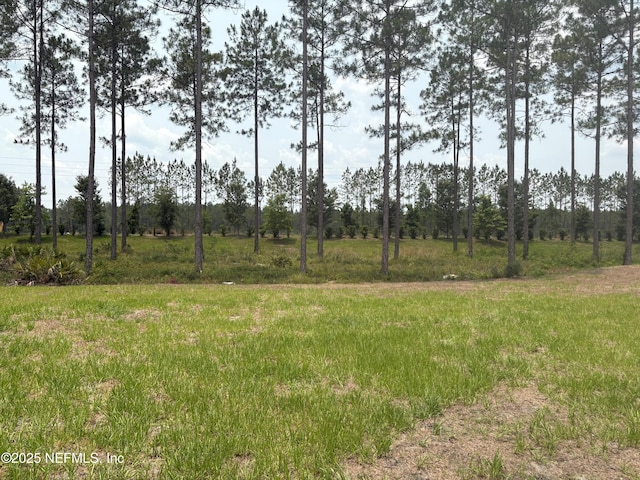 36199 Pitch Ln, Hilliard, FL 32046 - view of yard