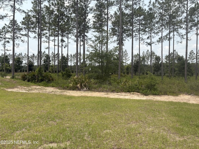 36231 Pitch Ln, Hilliard, FL 32046 - view of yard