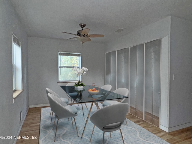 dining area featuring ceiling fan, a wealth of natural light, and light hardwood / wood-style flooring