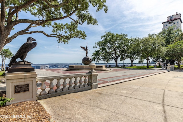 surrounding community with shuffleboard