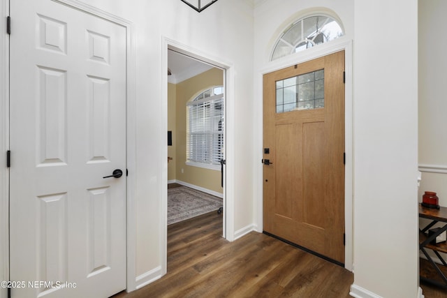 foyer with dark hardwood / wood-style floors and ornamental molding