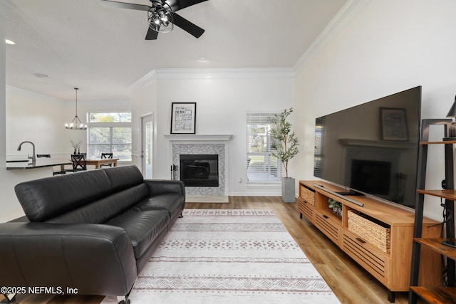 living room featuring a fireplace, ceiling fan with notable chandelier, light hardwood / wood-style floors, and ornamental molding